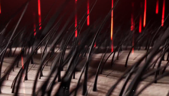 Red light scalp brush dry-massage routine